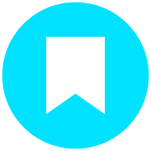 Save Icon